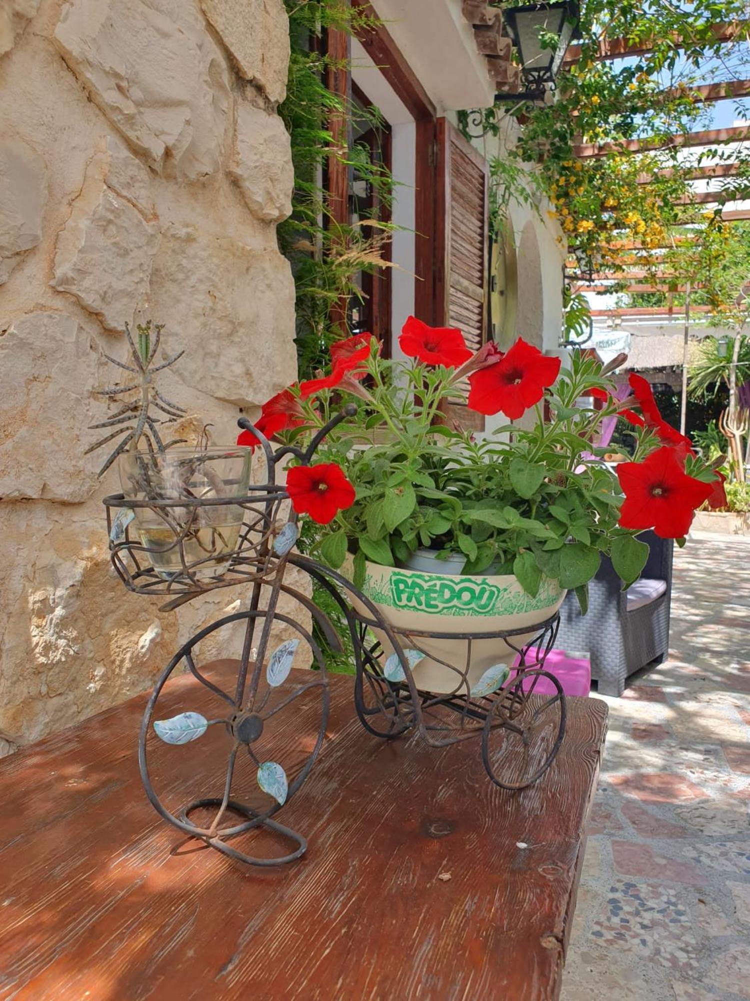 Hostal Mi Campana Denia Exterior photo