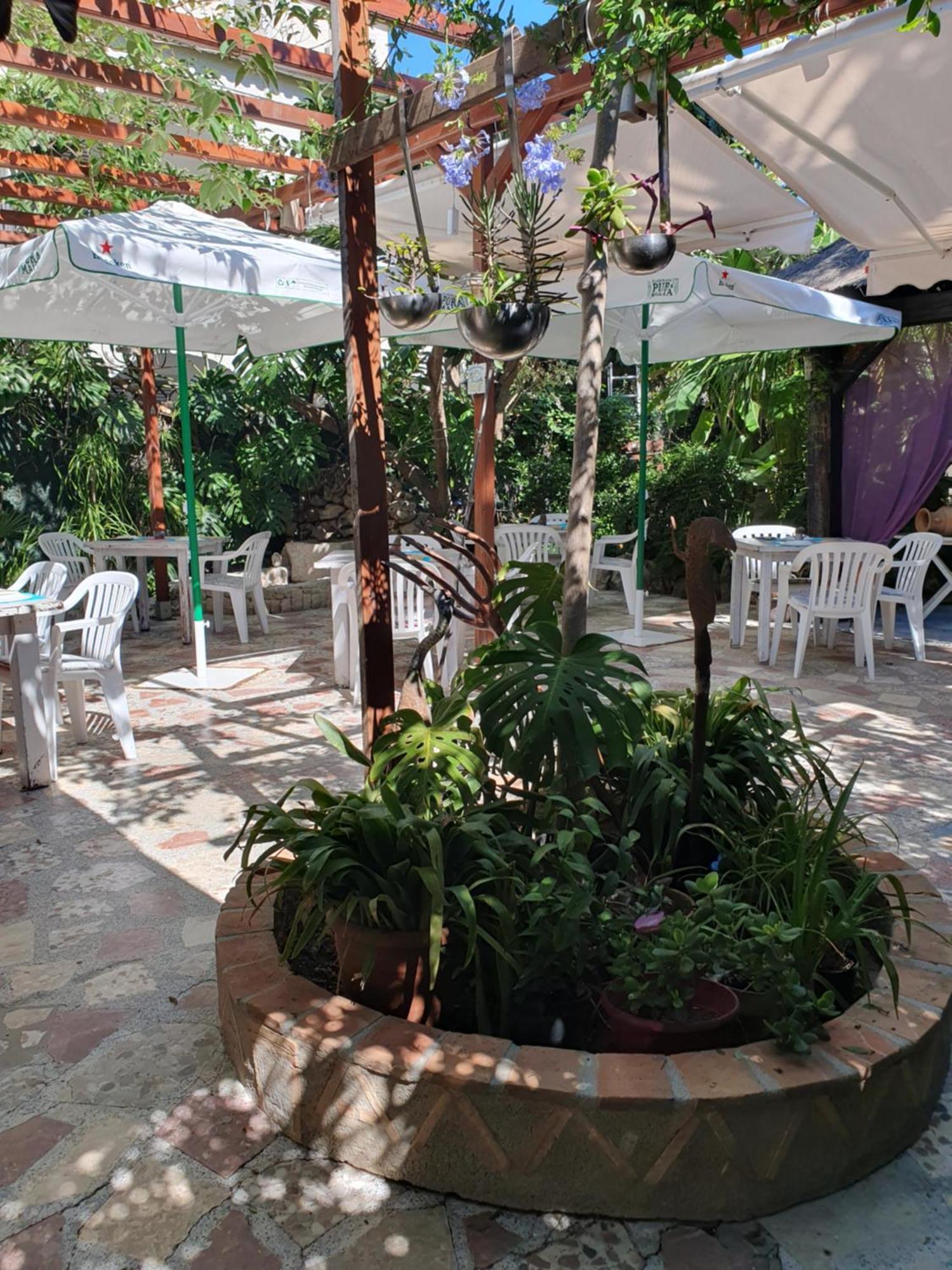 Hostal Mi Campana Denia Exterior photo